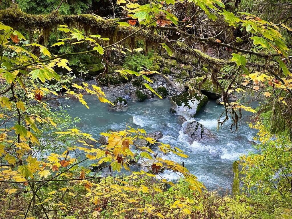 A scenic view of Redcedar Falls with rushing water and lush, colorful foliage.