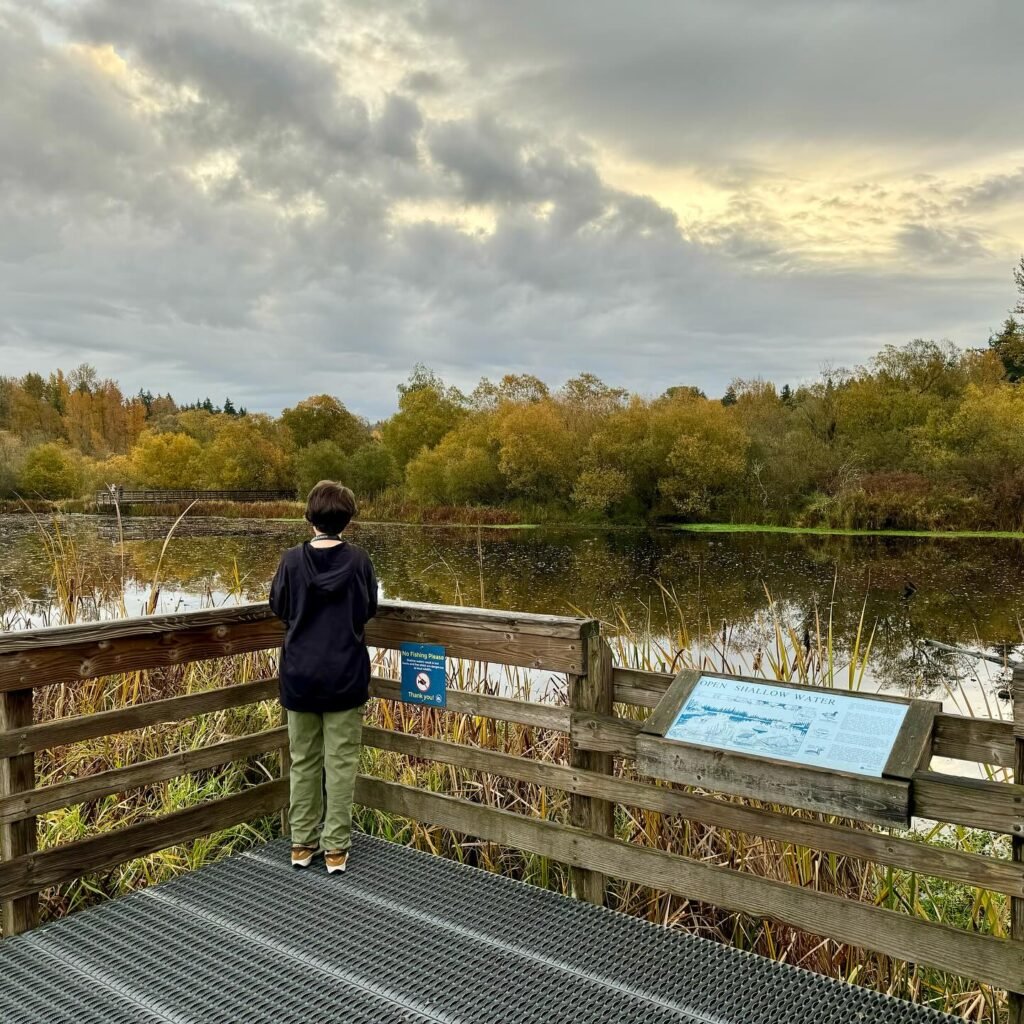 A person stands on a wooden viewing platform overlooking a lake with autumn foliage and cloudy skies.