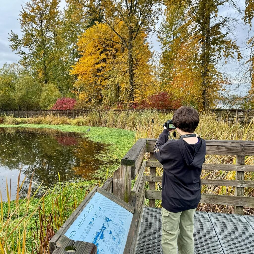 A person studies a lake wetland with binoculars while autumn trees display golden foliage. A children's binocular activity map is mounted near a wooden deck.