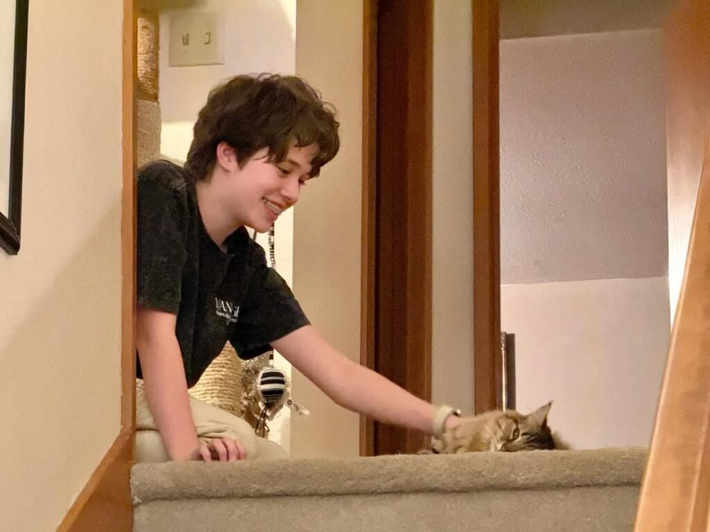 A person reaches over the back of a couch to pet a cat at home.