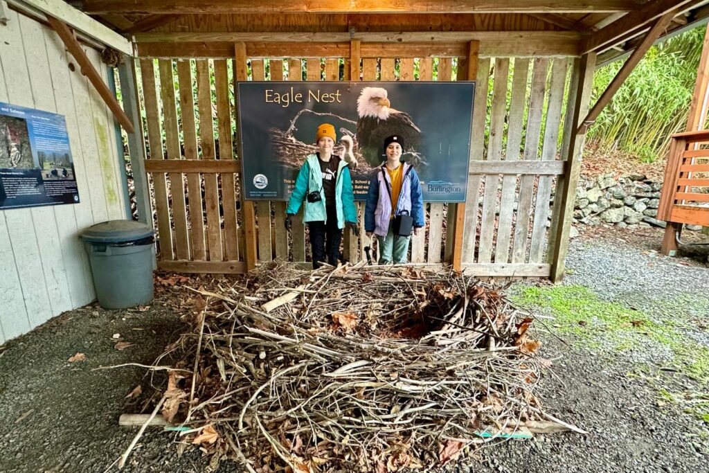 Visitors pose by an Eagle Nest exhibit sign with a large pile of sticks in the foreground. The wooden pavilion features an informational display about eagles.