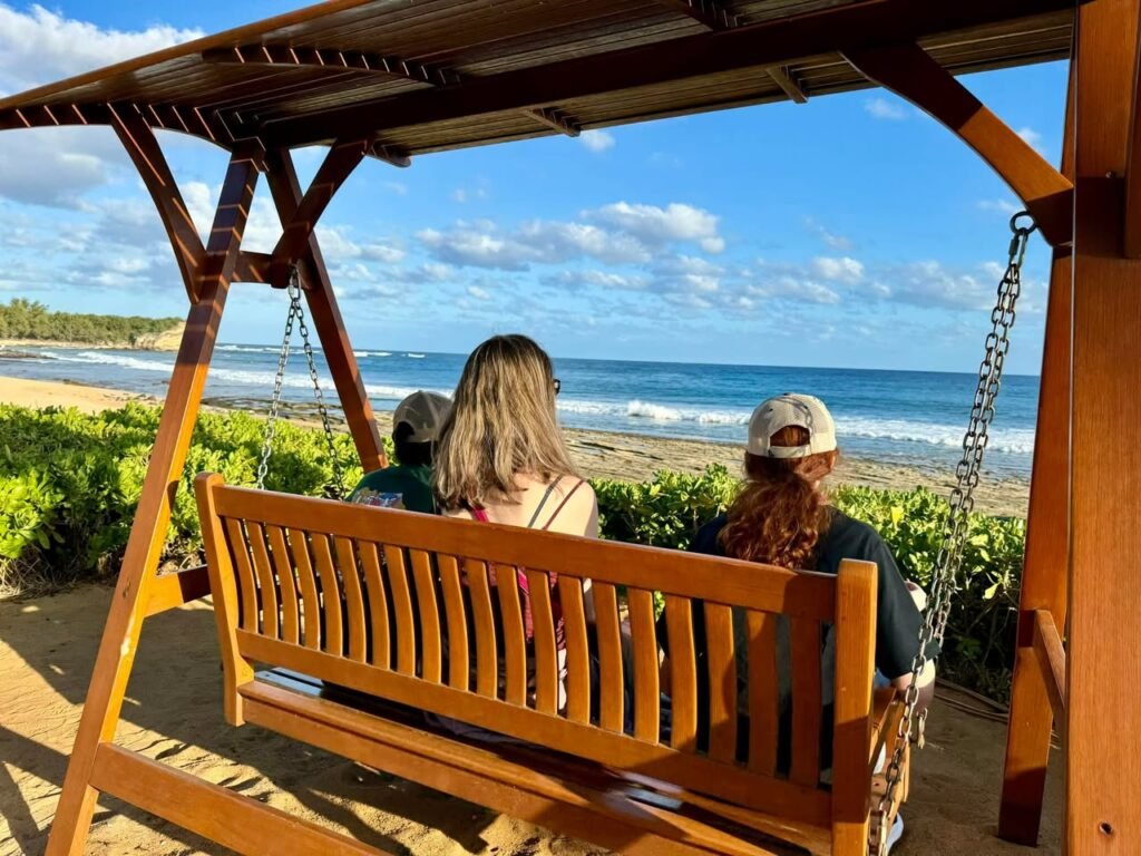 A wooden swing set overlooking a tropical beach with blue ocean waves and greenery.