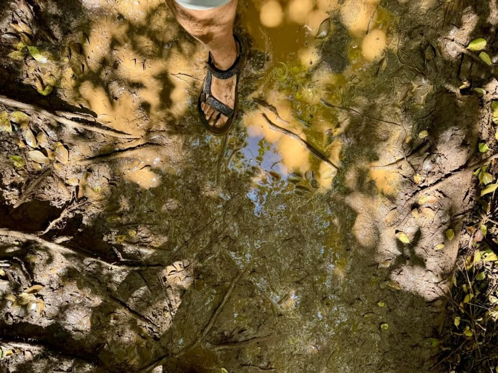 Sandaled feet in shallow creek water with rocks and dappled sunlight. A view of a hiking trail's natural stream.