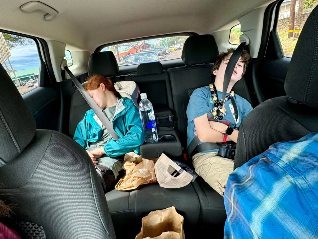 Two people relax and nap in the rear seats of a minivan with a scenic water view outside.
