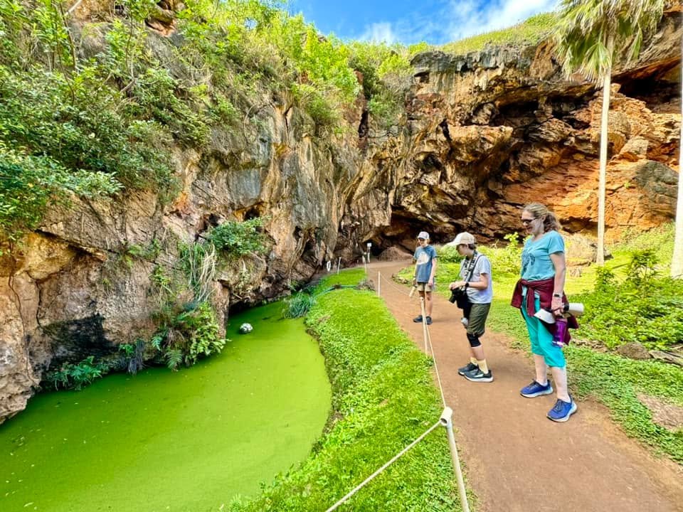 Visitors walk along a paved path next to a vibrant green pool in a rocky Hawaiian canyon with lush vegetation and palm trees.