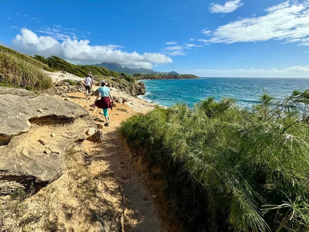 A scenic coastal path leads to turquoise ocean waters under a bright blue sky. Hikers walk along rocky terrain beside lush green vegetation.