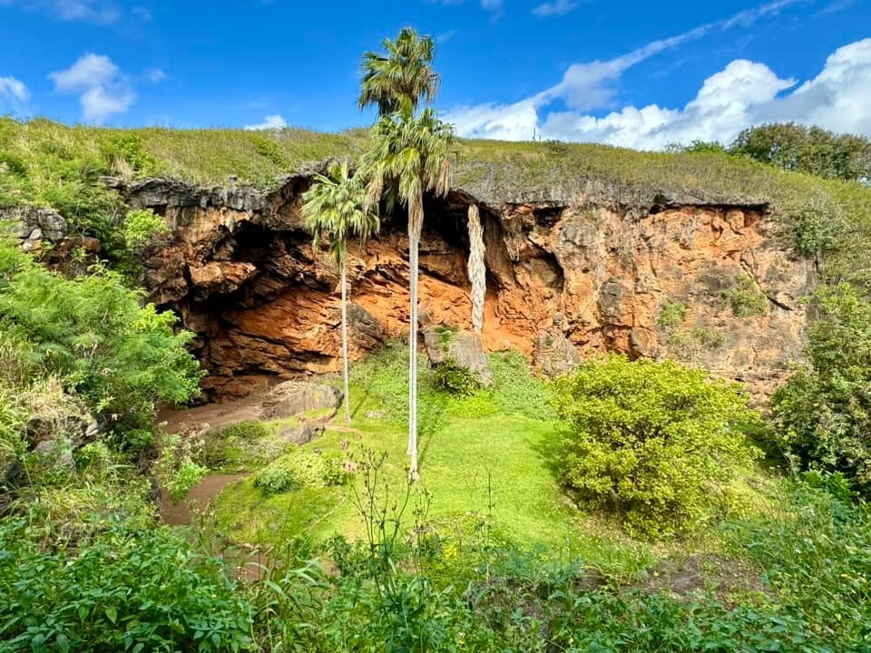 A scenic view of a green grotto with palm trees and rugged cliffs under a bright blue sky.