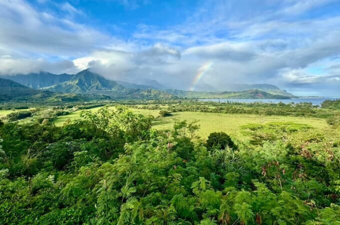 A vibrant landscape featuring a bright rainbow against a cloudy sky. The scene includes lush greenery in the foreground with mountains in the distance.