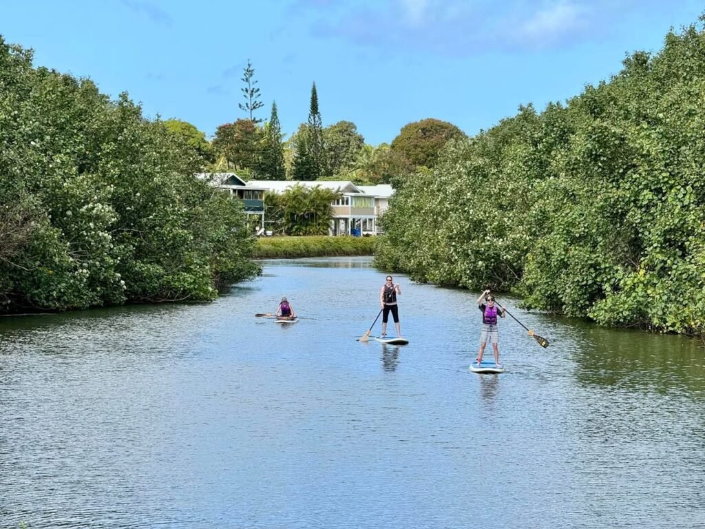 A group paddleboarding down a calm canal lined with lush greenery under a clear blue sky.