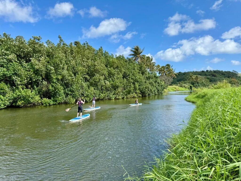 People paddleboarding down a narrow river surrounded by lush tropical vegetation and palm trees under a bright blue sky.