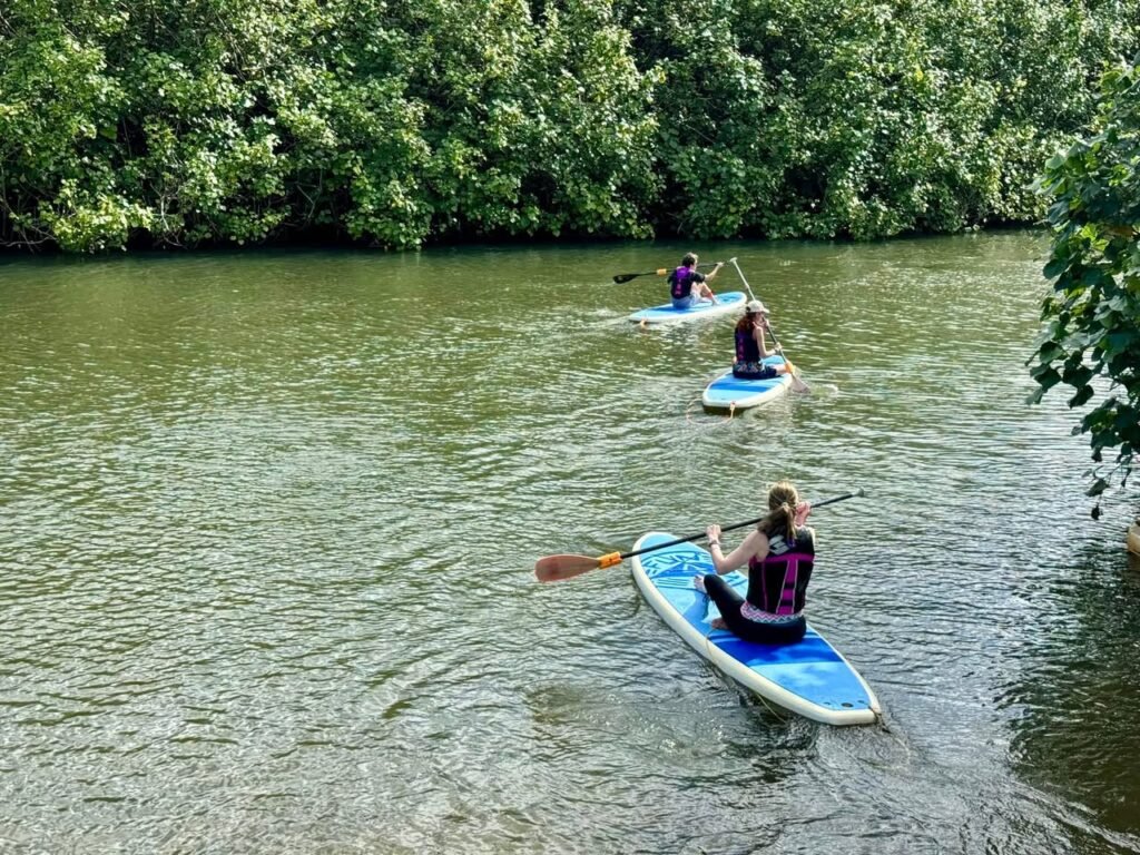 People paddleboarding on a calm river surrounded by lush green trees.
