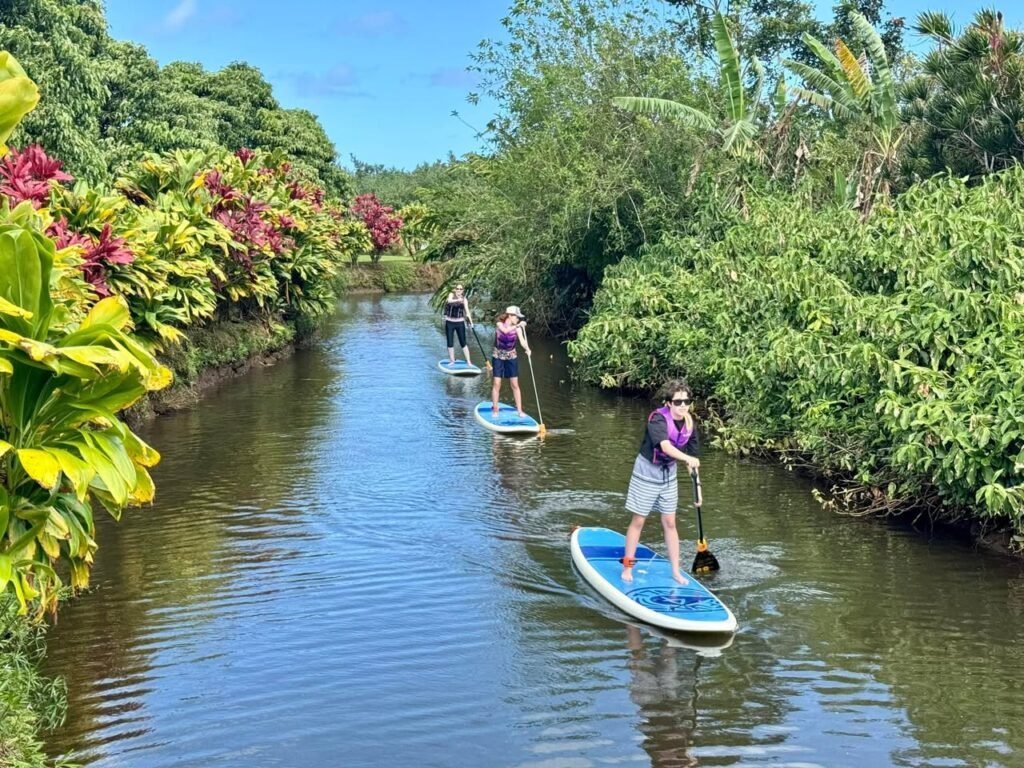 People stand paddleboarding on a calm river surrounded by dense tropical vegetation.