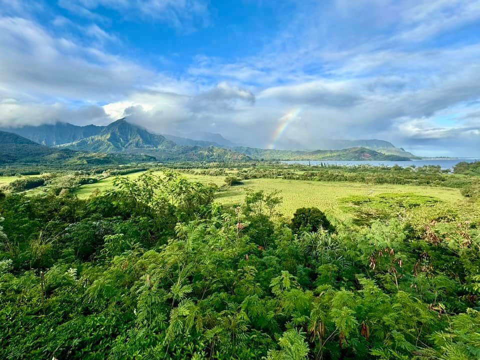 A panoramic view of lush green hills and distant mountains under a vivid blue sky with a bright rainbow.