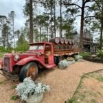 Six Flags Fiesta Texas A vintage red truck loaded with logs in a pine forest. Tall trees and rustic decor create a nostalgic atmosphere.