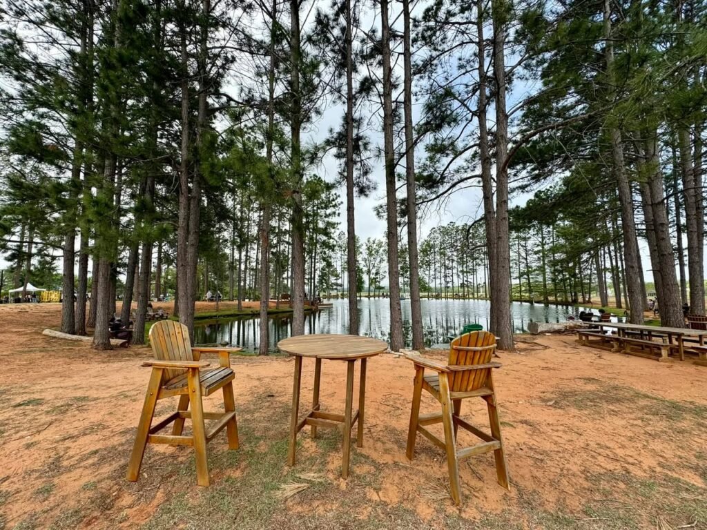 A cozy lakeside campsite features a wooden table and chairs surrounded by tall pine trees. The serene water reflects the forest, creating a tranquil setting.