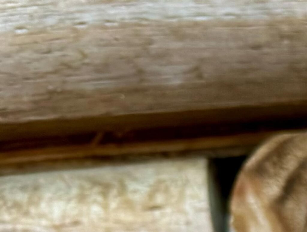 Close-up shot of rustic wood grain and grainy texture.