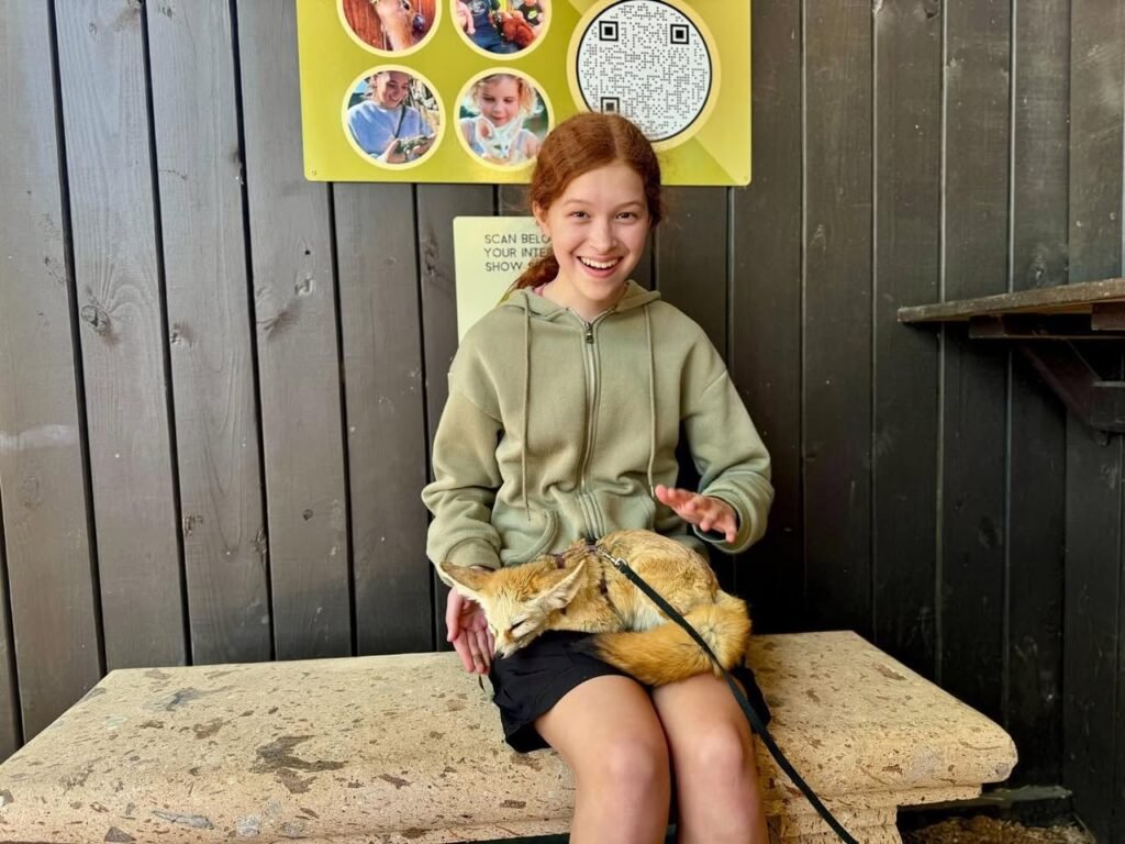 A child sitting with a small marsupial in their lap at an animal encounter facility.