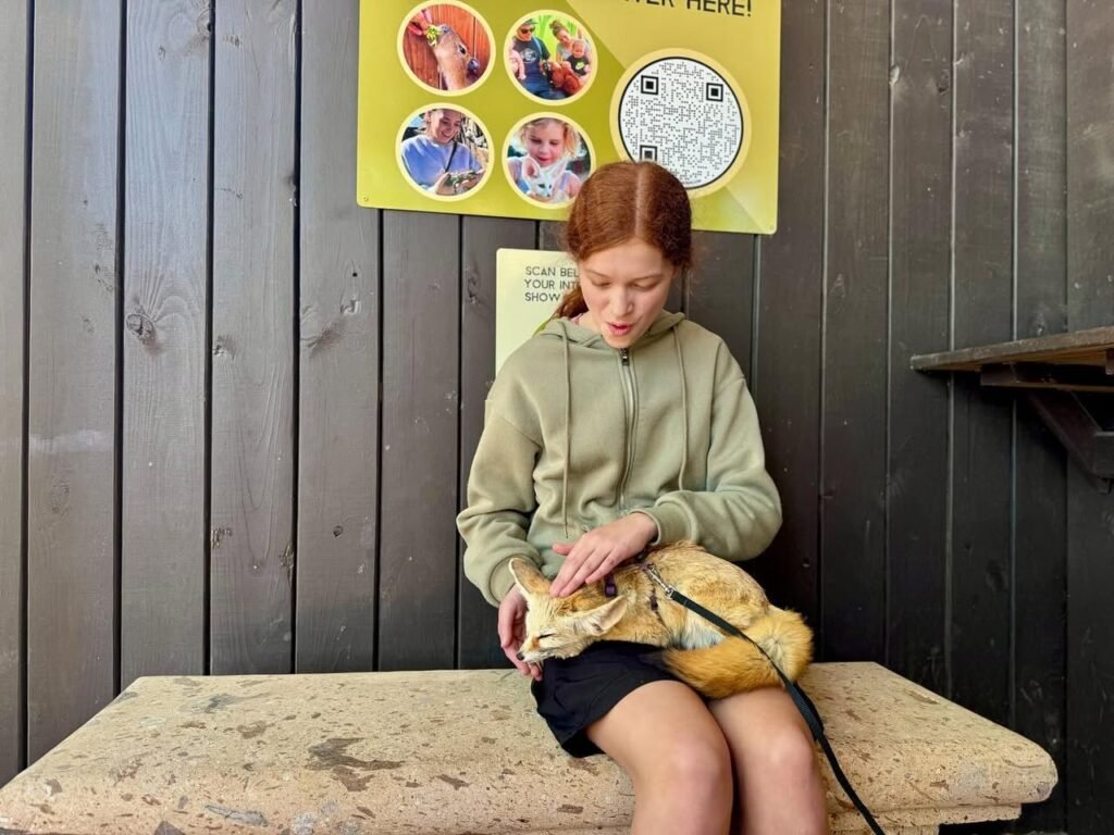 A person with red hair sits on a bench, gently petting an orange tabby cat.