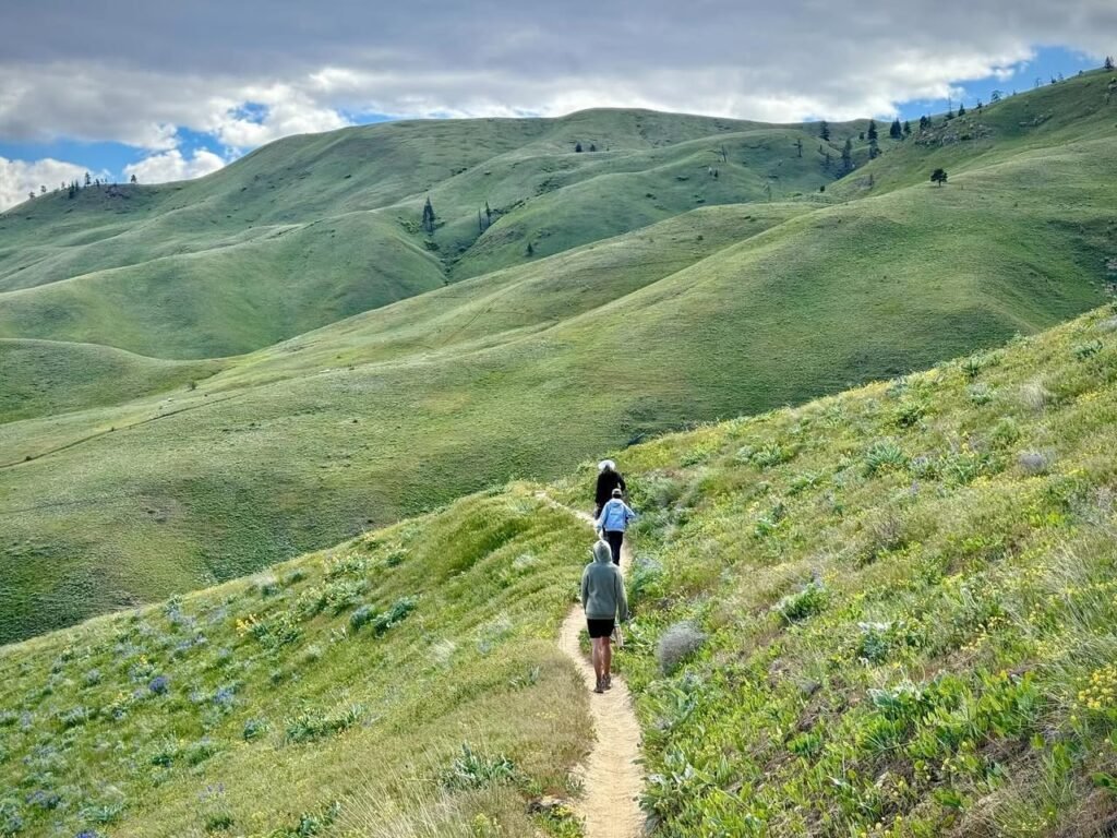 Hikers walking on a narrow dirt trail through expansive, rolling green hills under a cloudy sky. The landscape features lush hillsides and distant ridges typical of Pacific Northwest hiking.