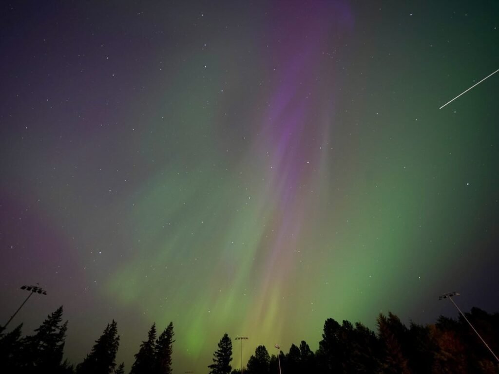 The northern lights glow in green and purple hues above a silhouetted forest at night.