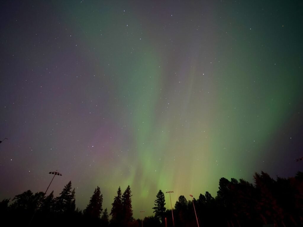 Northern Lights dance across a starry night sky above a silhouetted forest landscape.