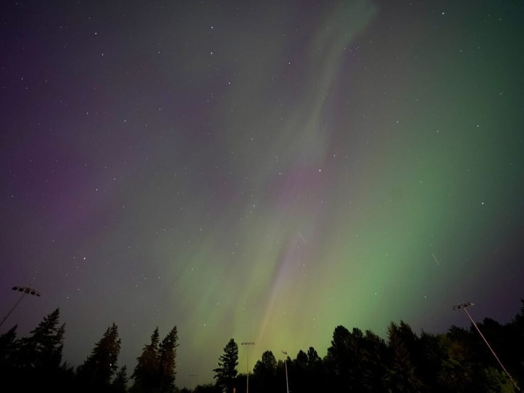 A colorful view of the aurora borealis illuminating the night sky above tree line. The display features green and purple light rays above evergreen silhouettes.