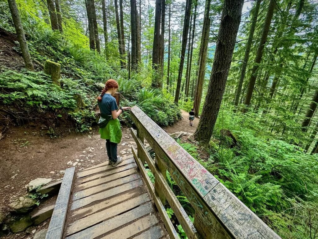 A wooden footbridge in a forest, with a hiker walking through lush green trees.