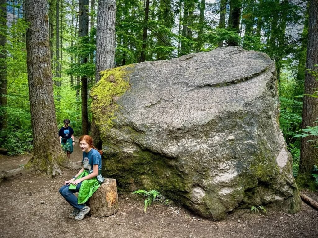 A hiker sits on a tree stump next to a large, moss-covered boulder in a lush Pacific Northwest forest.