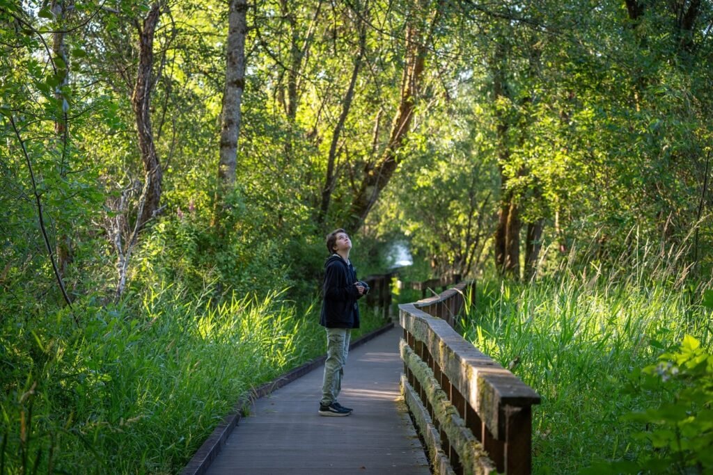 Walking the Lush Green Boardwalk