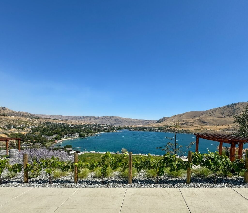 A landscaped garden with climbing vines and purple wildflowers overlooking a blue lake surrounded by hills under a clear sky.