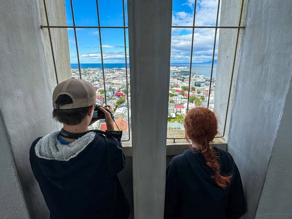 People viewing a panoramic coastal cityscape from an elevated window with metal bars on a sunny day.',