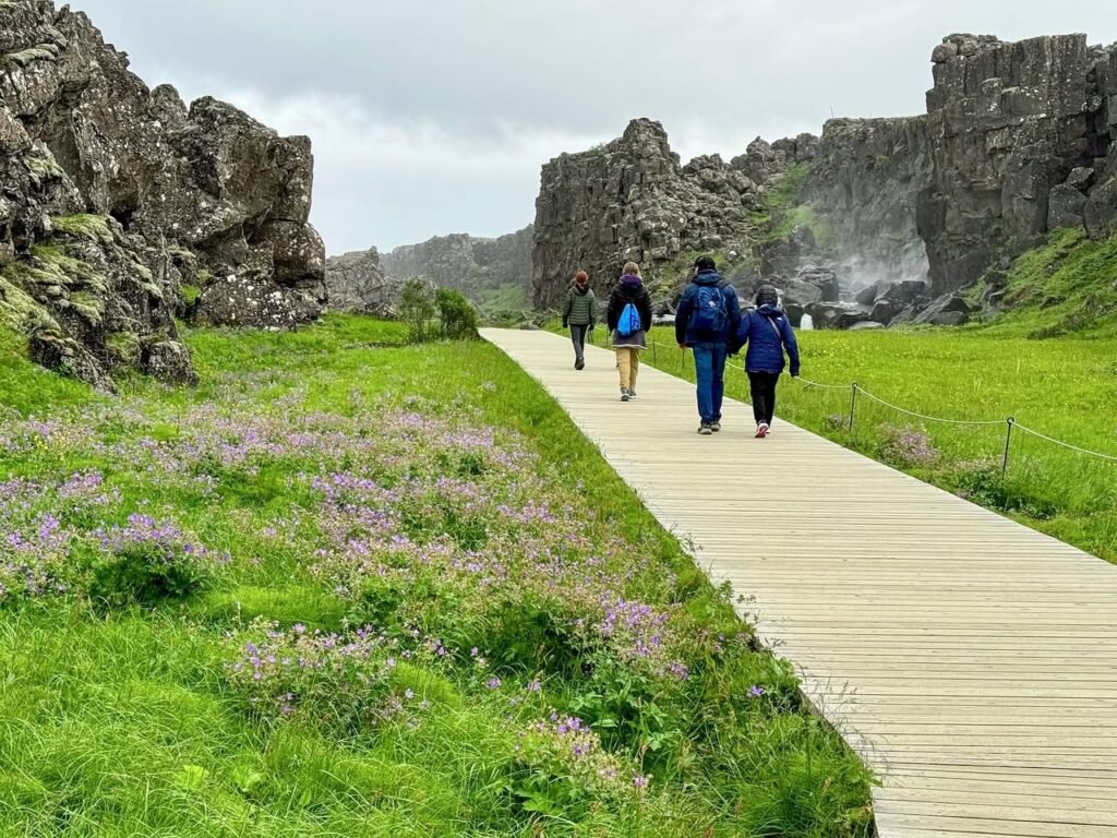 A group of hikers walks along a wooden boardwalk through a lush green field with purple wildflowers.