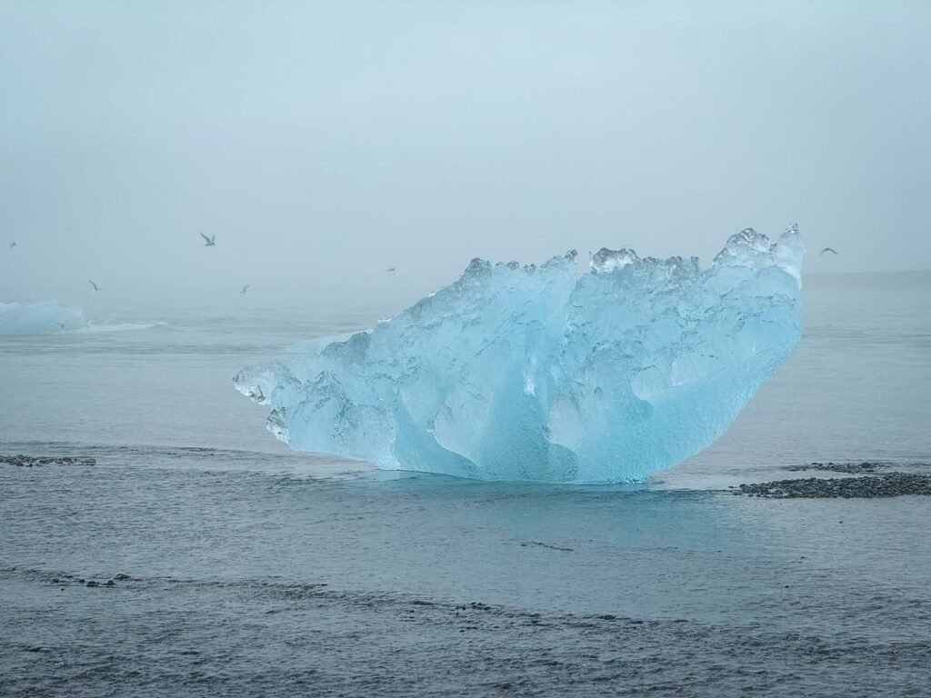 A bright blue iceberg rests on a gray shoreline under a misty, overcast sky.