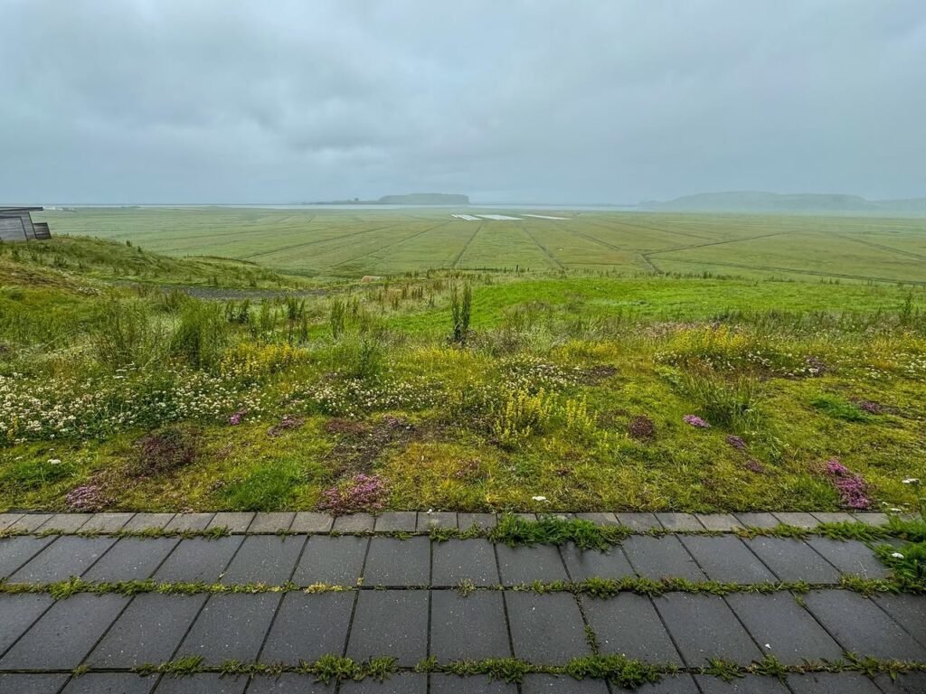A view from a wet stone ledge looking out over a vast, green tidal plain under a gray, overcast sky.