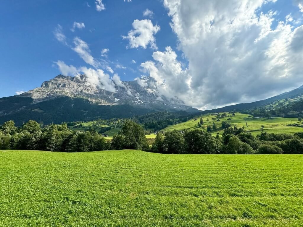 A scenic view of a lush green meadow and distant mountains with rolling clouds in a blue sky.