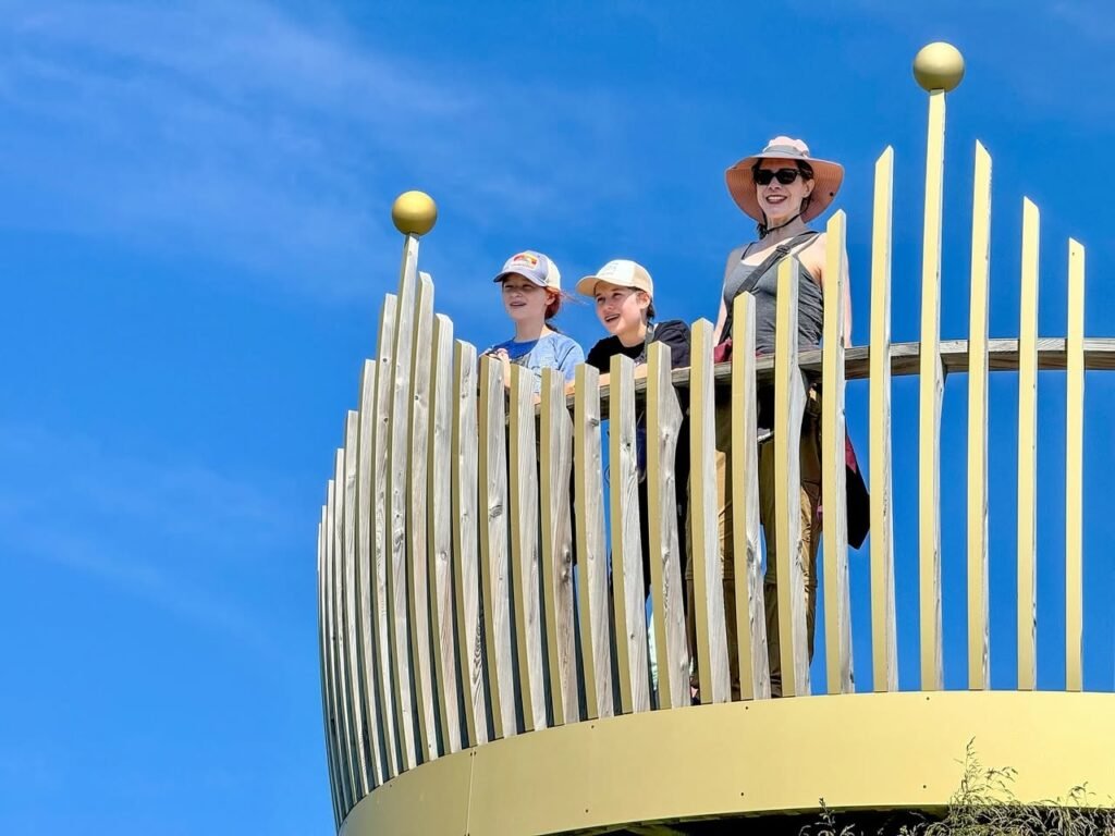 Visitors enjoy a modern elevated play structure against a clear blue sky in the Pacific Northwest.