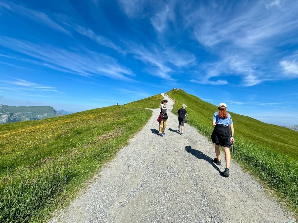 Three hikers walking along a gravel path on a lush green coastal bluff under a bright blue sky with wispy clouds. The Pacific Northwest landscape offers stunning views and scenic trails.