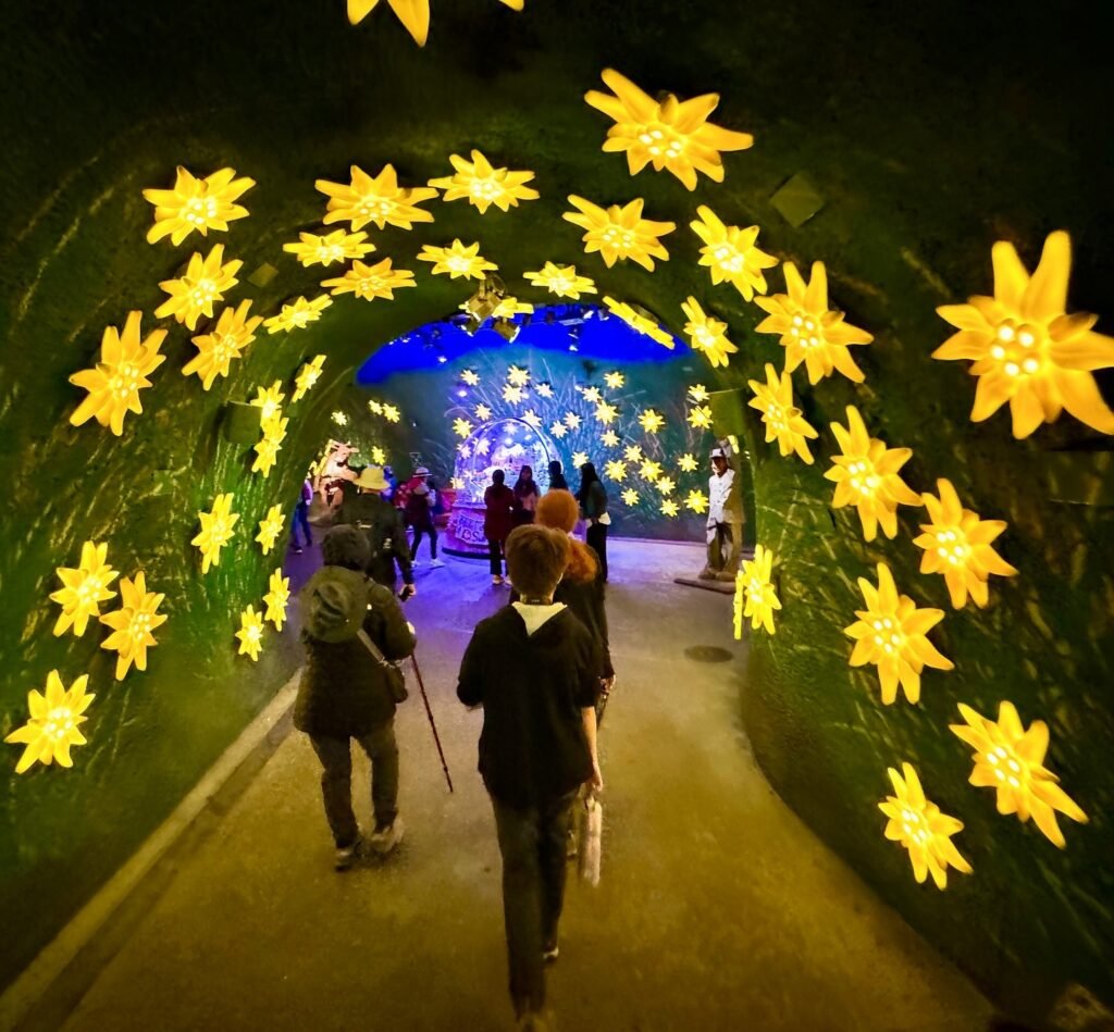 A tunnel of illuminated star-shaped lights with visitors walking through a whimsical art installation.