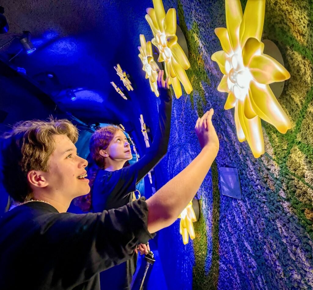 Visitors explore an immersive art installation with interactive lighting that responds to touch and movement. Vibrant colors and patterns create a transformative and engaging environment.