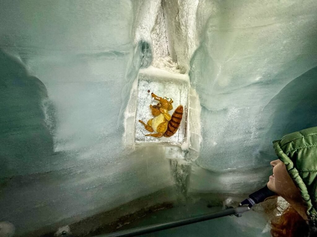 A person wearing a green jacket views a specimen of butterflies preserved in the ice wall of a glacier.