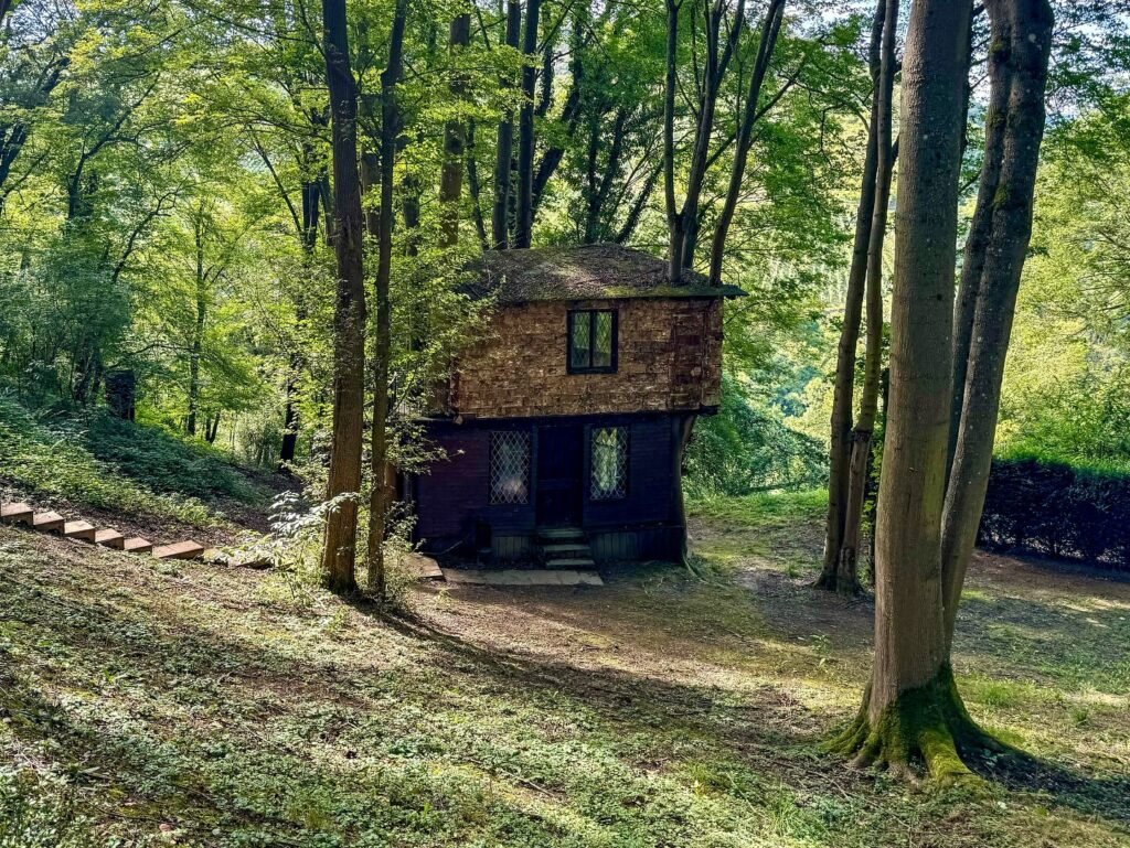 A rustic wooden treehouse nestled among tall, leafy trees with a small stone pathway leading to it, set in a serene forest environment.