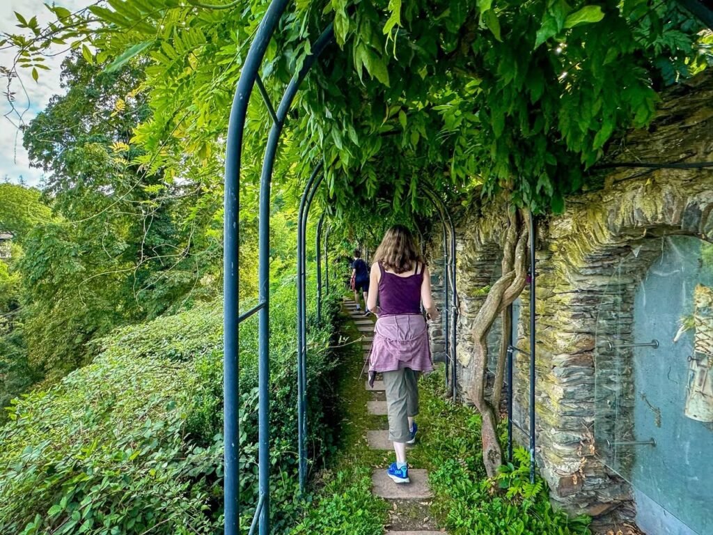 A person strolling down a stone path lined with lush greenery and metal arches, overlooking a vibrant forested slope.