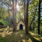 Mainz, Germany A small, white chapel nestled in a forest with tall trees and dappled sunlight on the ground.