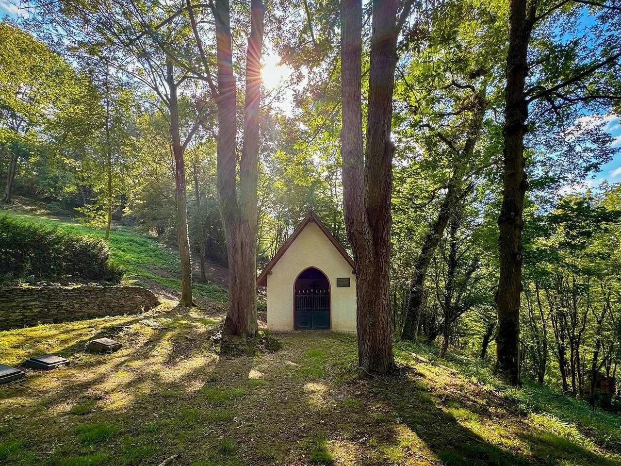 Secret Garden at the Castle A small, white chapel nestled in a forest with tall trees and dappled sunlight on the ground.