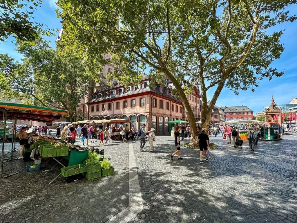A historic European market square features cobblestone paths, outdoor food stalls, and towering trees. The vibrant scene captures local commerce and community life.