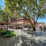 A historic European market square features cobblestone paths, outdoor food stalls, and towering trees. The vibrant scene captures local commerce and community life.