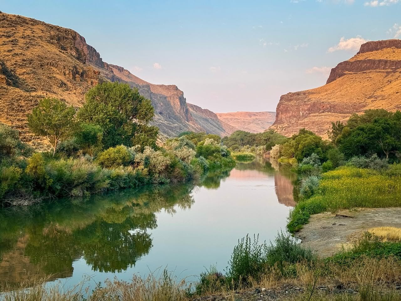 Owyhee River Wilderness A serene river winding through a rugged landscape with tall cliffs and vibrant greenery.
