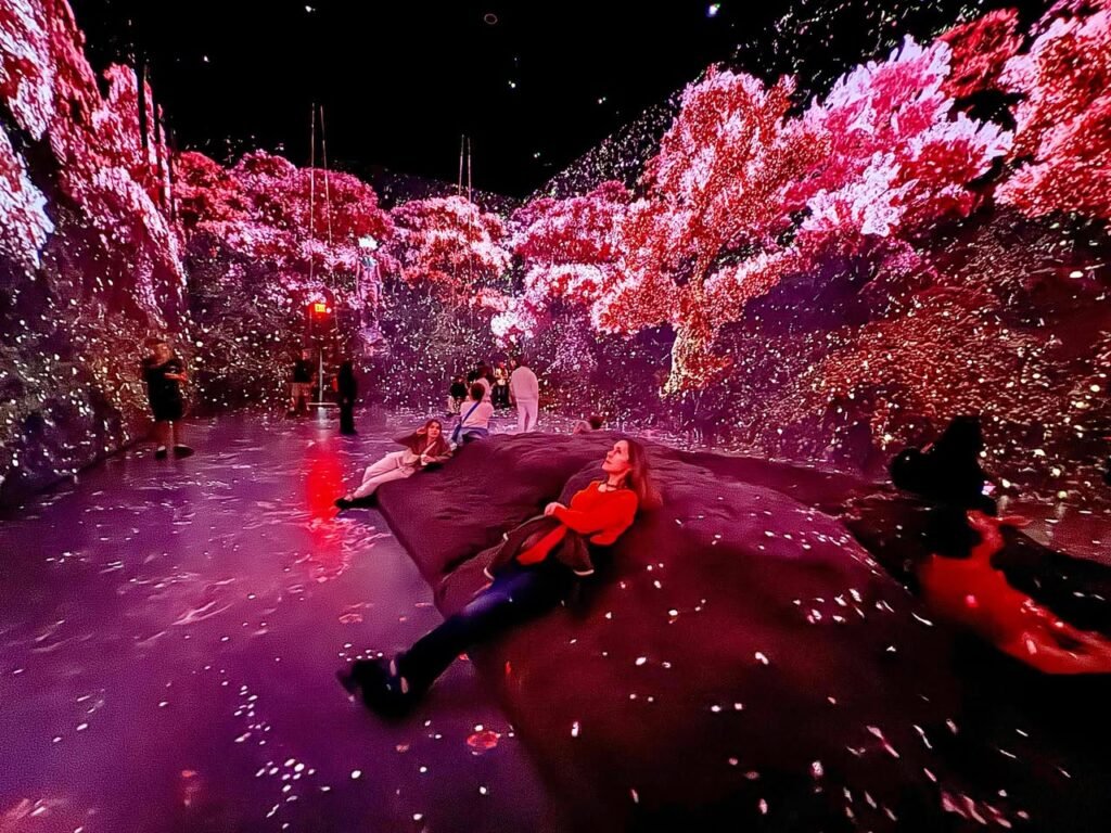 An immersive digital art installation featuring vibrant, glowing pink cherry blossoms and a reflective, magical floor. Visitors lie down to enjoy a surreal, starry atmosphere.