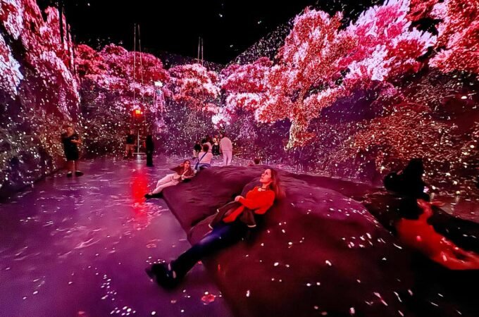 An immersive digital art installation featuring vibrant, glowing pink cherry blossoms and a reflective, magical floor. Visitors lie down to enjoy a surreal, starry atmosphere.
