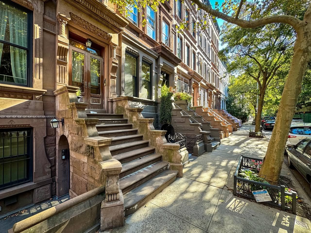 Upper West Side A row of brownstone buildings with grand front steps and a single street tree in a parkway.